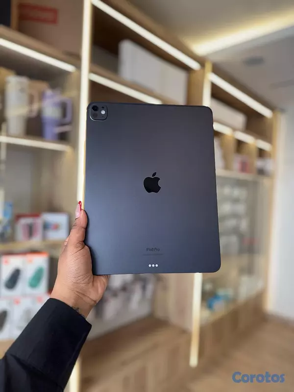 celulares y tabletas - IPAD PRO M4 13'' 256GB 