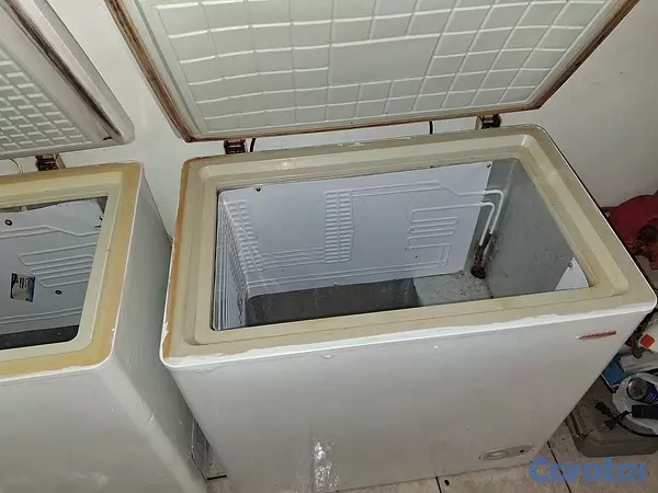 equipos profesionales - Venta de dos Freezer  2