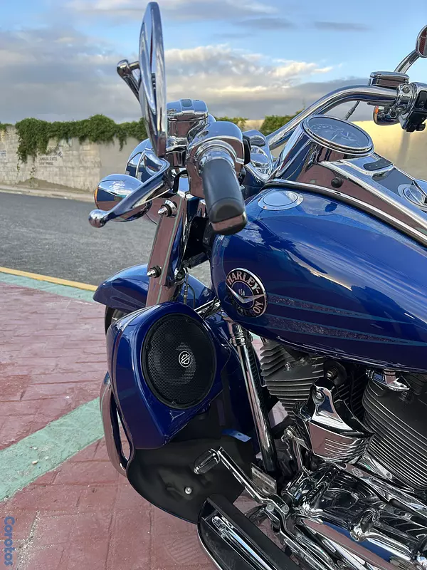 motores y pasolas - Road King CVO 2013 5