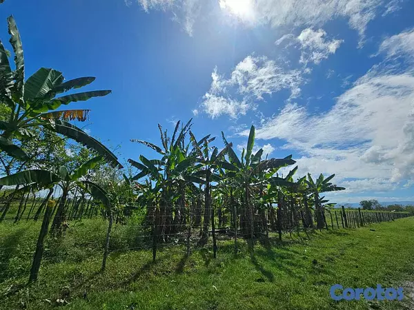 solares y terrenos - Finquita en San Francisco de Macoris de 66 tareas  2