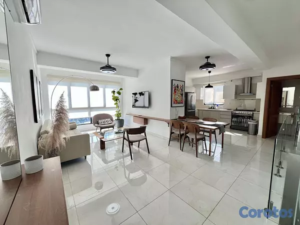apartamentos - Penthouse tipo loft amueblado en alquiler en Naco 4
