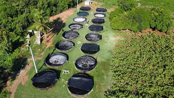 solares y terrenos - estanque de criaderos de peces  6