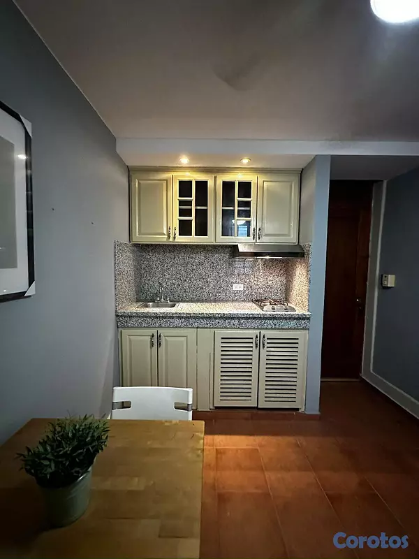 apartamentos - Apartamento amueblado en gazcue  6