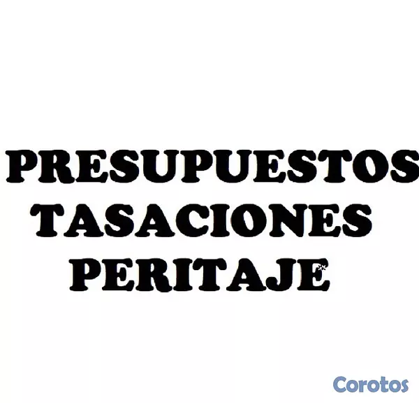 servicios profesionales - Tasacion, presupuestos e informes de peritaje 3
