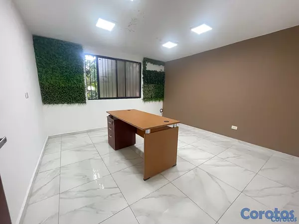 oficinas y locales comerciales - Local céntrico en el millon  2