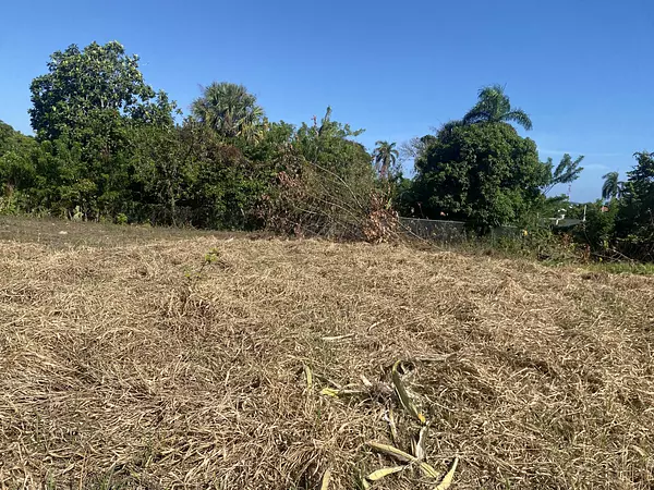 solares y terrenos - terreno para proyecto en puerto plata  6