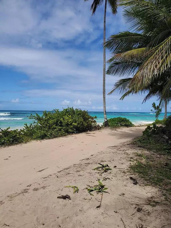 solares y terrenos - Terreno de 10,358 Mts2 en Playa Rincon, Samana  1