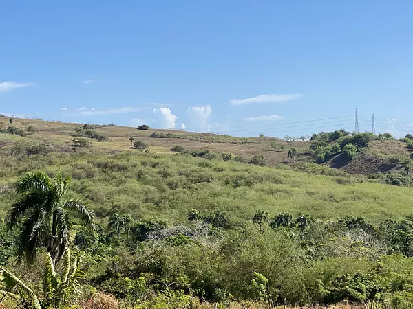 solares y terrenos - finca de 300 tareas acta para desarrollar o para ganadería  3
