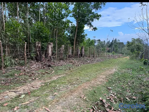 solares y terrenos - Lotes (terrenos) campestre En Los Mogotes, Villa Altagracia, En Proyecto Cerrado 11