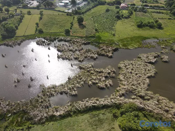 solares y terrenos - Terreno en venta – Nizao / Don Gregorio, Baní 2