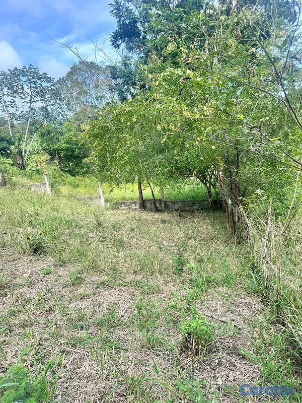 solares y terrenos - Terreno ( Finquita) 700 metros ubicado en bajos de Haina , sector el carril . 2