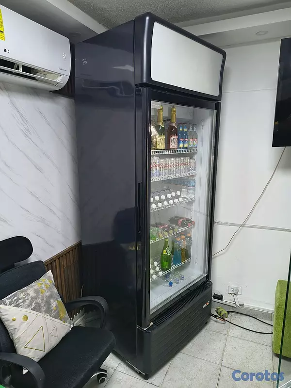 equipos profesionales - Exhibidor Nevera Tecnomaster  2