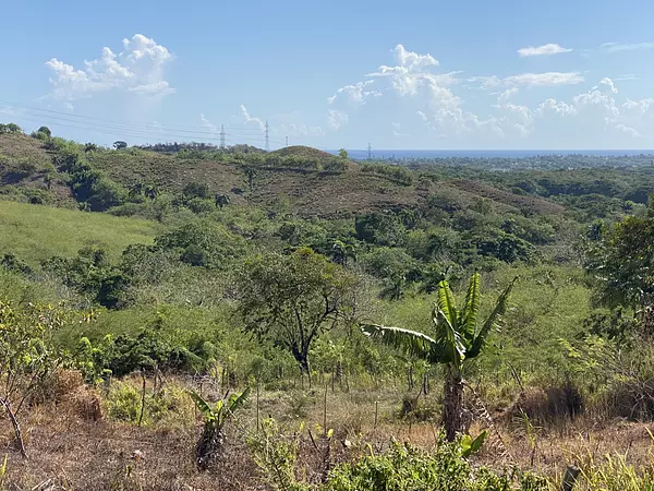 solares y terrenos - finca de 300 tareas acta para desarrollar o para ganadería  5