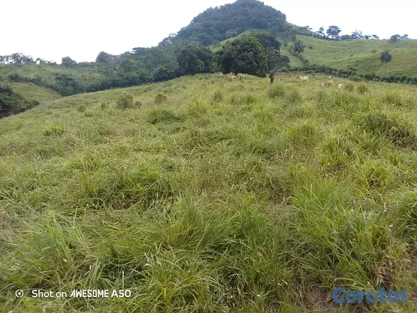 solares y terrenos - finca de 450 tareas con vocación ganadera en yamasa  7