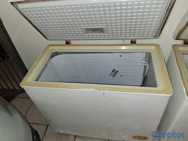 equipos profesionales - Venta de dos Freezer  3
