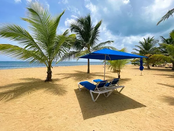 apartamentos - Las Terrenas - Playa las ballenas - Exclusivo penthouse de 4 habitaciones 4