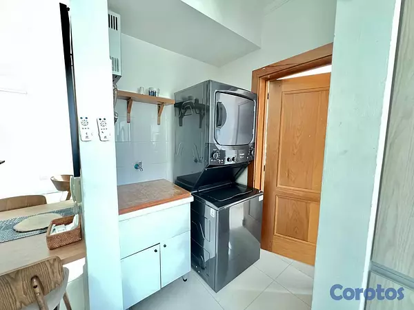 apartamentos - Penthouse tipo loft amueblado en alquiler en Naco 5