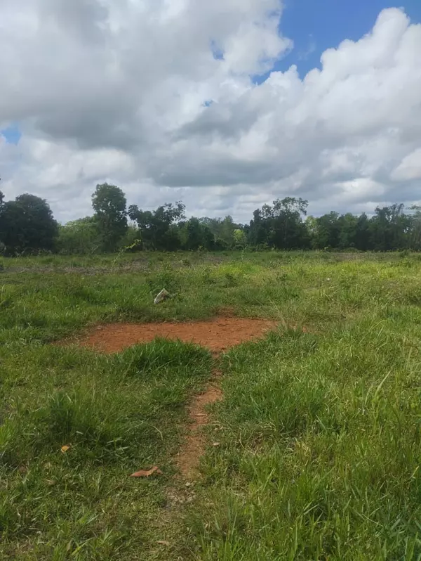 solares y terrenos - finca de 53 tareas en monte plata  3