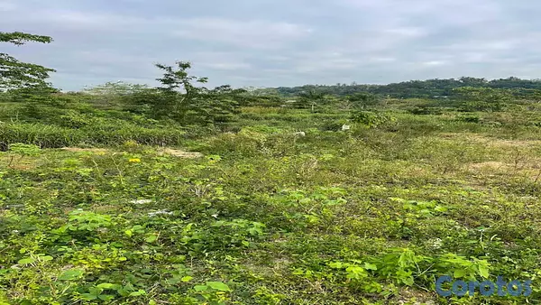 solares y terrenos - Terreno en venta Manoguayabo 3