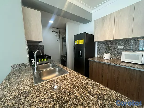 apartamentos - Apartamento en Alquiler en Naco Amueblado de UNA H 11