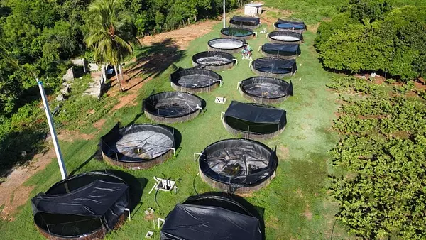 solares y terrenos - estanque de criaderos de peces  8