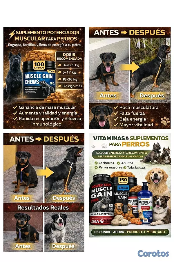 animales y mascotas - 🐶 Vitaminas y Suplementos Premium para Perros | Energía, Pelaje y Salud 3