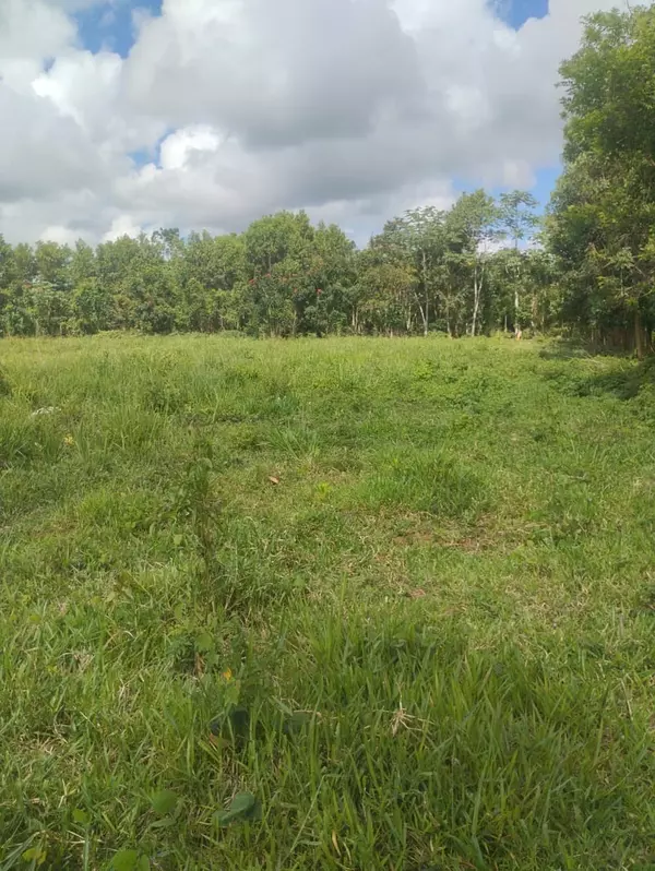 solares y terrenos - finca de 53 tareas en monte plata  4
