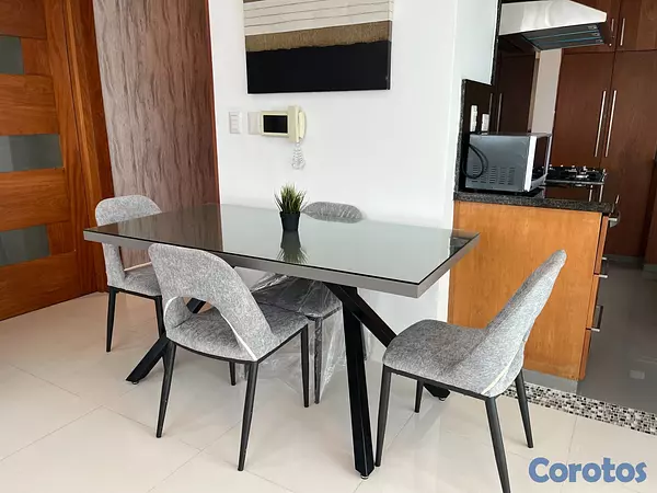 apartamentos - Apartamento en Alquiler en Naco Amueblado de UNA H 13