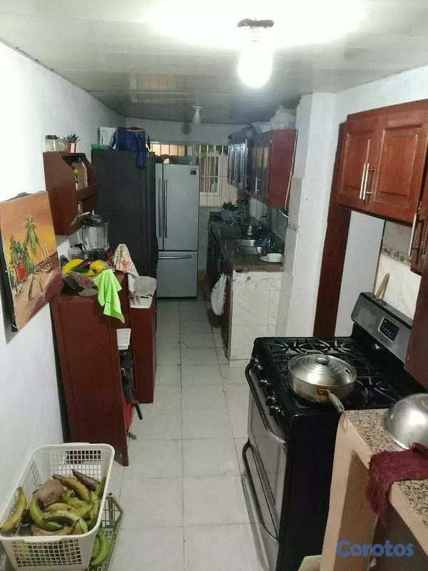 casas - Casa en venta comercial en Las Caobas  4