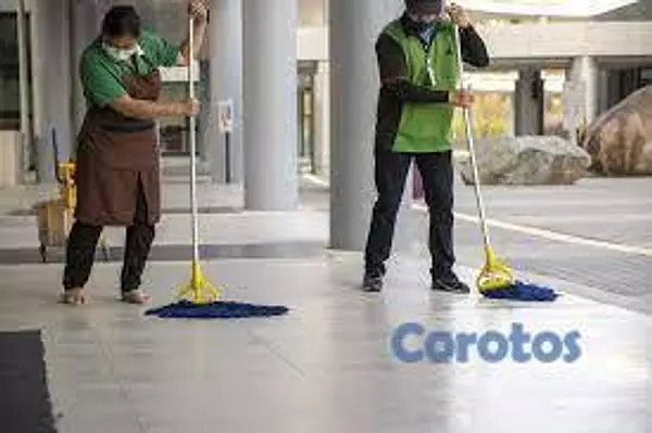 servicios profesionales - BRILLADO DE PISO Y LIMPIEZA PROFUNDA 2
