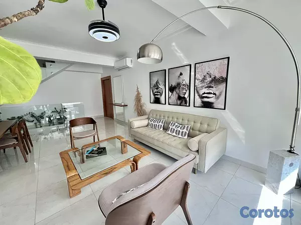 apartamentos - Penthouse tipo loft amueblado en alquiler en Naco 7