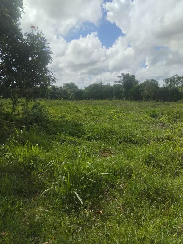 solares y terrenos - finca de 53 tareas en monte plata  5