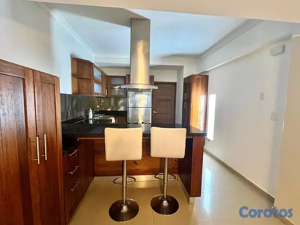 apartamentos - Apartamento en alquiler en piantini de dos habitaciones 6
