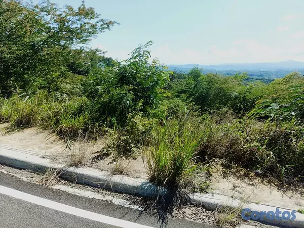 solares y terrenos - Terreno 80 Tareas de Venta en San Jose de Las Matas 2