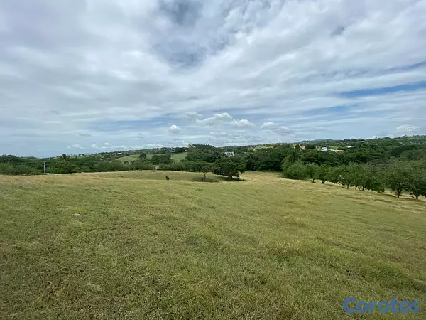 solares y terrenos - SE VENDE TERRENOS SAJOMA 2