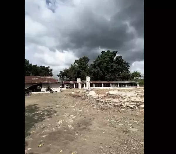 solares y terrenos - Finca 571 Tareas en Maguey, Villa Tapia 3