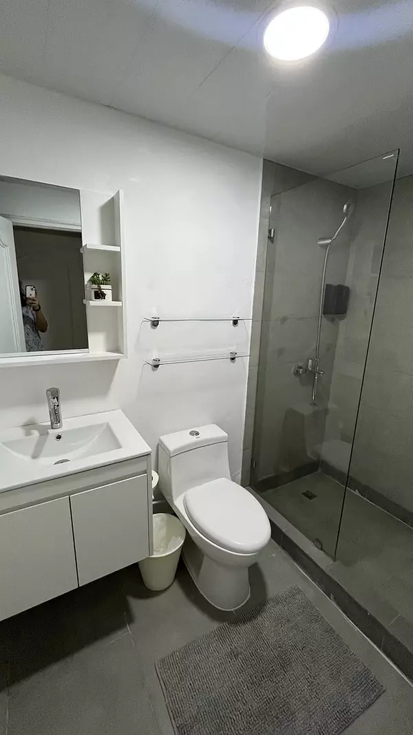 apartamentos - Apartamento amueblado en venta y alquiler en Piantini 5