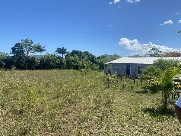 solares y terrenos - finca de 20 tareas en la piragua imbert  6