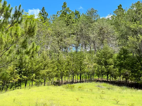 solares y terrenos - Vendo en Constanza varios terrenos 7