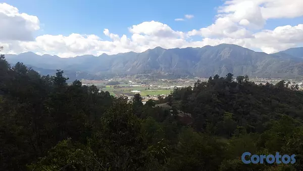 solares y terrenos - VENDO HERMOSO TERRENO CON UNA VISTA ESPECTACULAR!! - EN EL PINAR CONSTANZA. RD!! 4