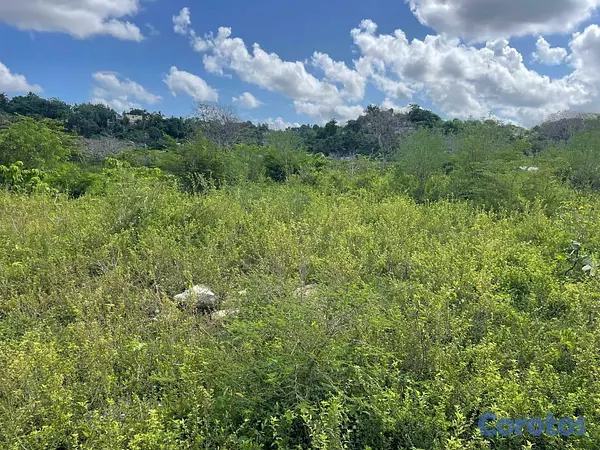 solares y terrenos - Terreno en venta Manoguayabo 10