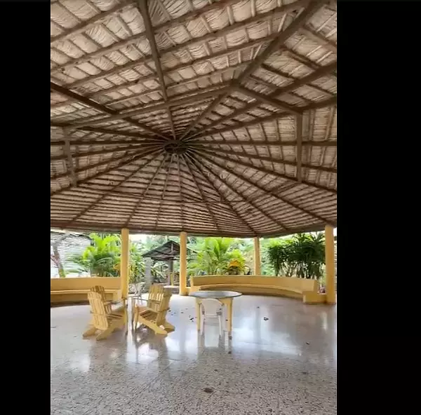 solares y terrenos - Finca 571 Tareas en Maguey, Villa Tapia 4