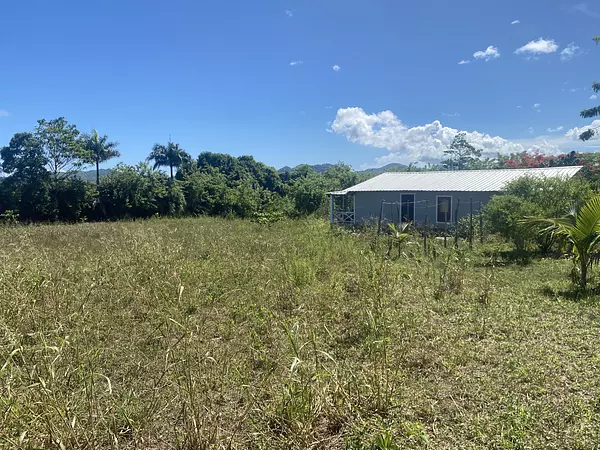 solares y terrenos - finca de 20 tareas en la piragua imbert  7