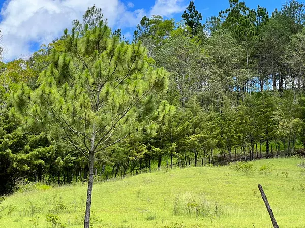 solares y terrenos - Vendo en Constanza varios terrenos 8