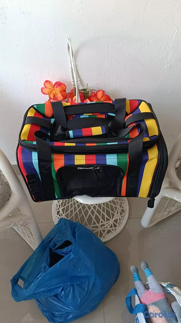 animales y mascotas - bolso transportador colorido para mascotas pequeña 10
