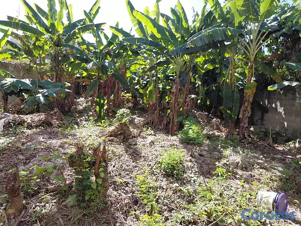 solares y terrenos - Terreno en venta en Santo Domingo Este 270 m2 en M 5