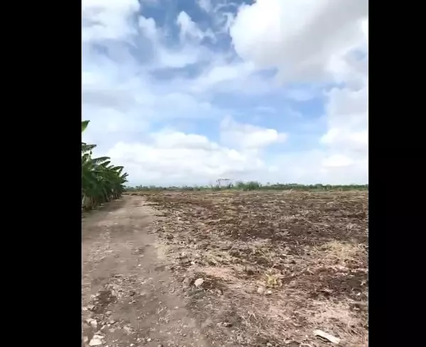 solares y terrenos - Finca 571 Tareas en Maguey, Villa Tapia 5