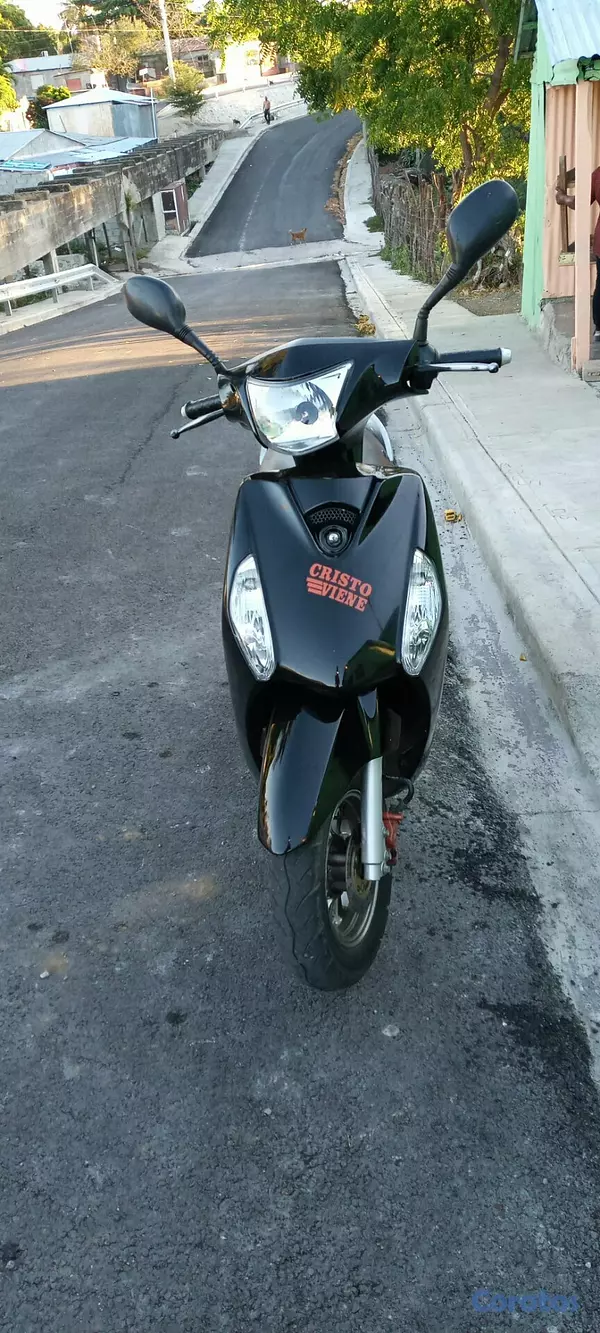 motores y pasolas - Paolas baratas 4