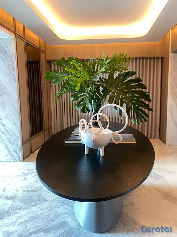 apartamentos - Apartamento En Venta Esperilla  5