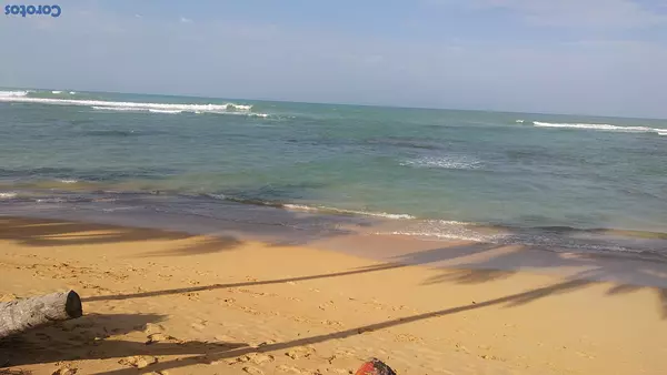 solares y terrenos - Gran Solar en Uvero Alto Punta Cana con Playa  3